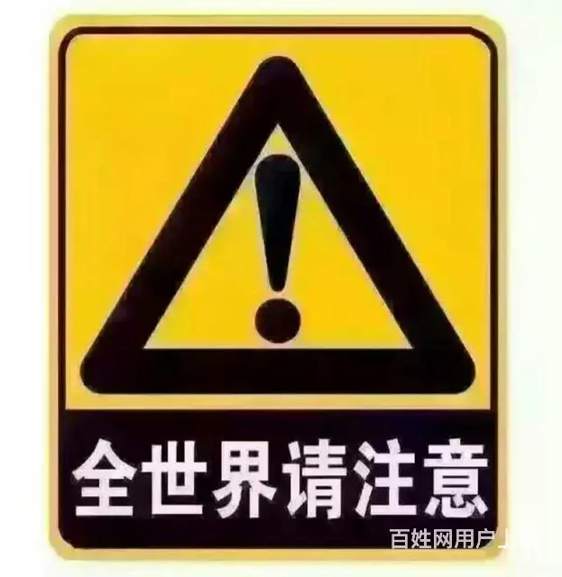 喜乐蒂幼犬 - 图片 2