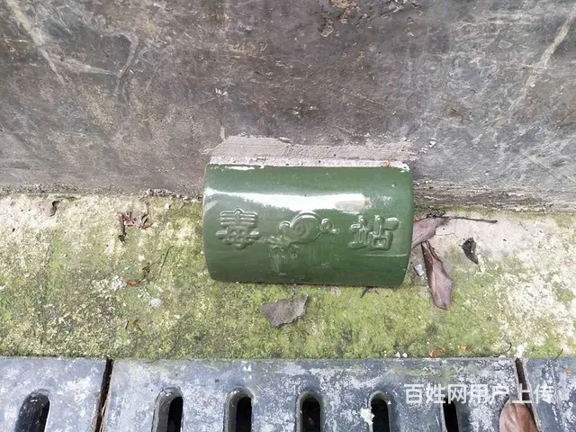 双峰县专业灭老鼠灭蟑螂灭白蚁 - 图片 5