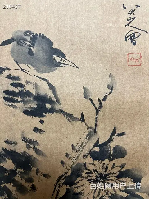 八大 精品册页 画心33.5✖️22cm✖️6开 - 图片 3