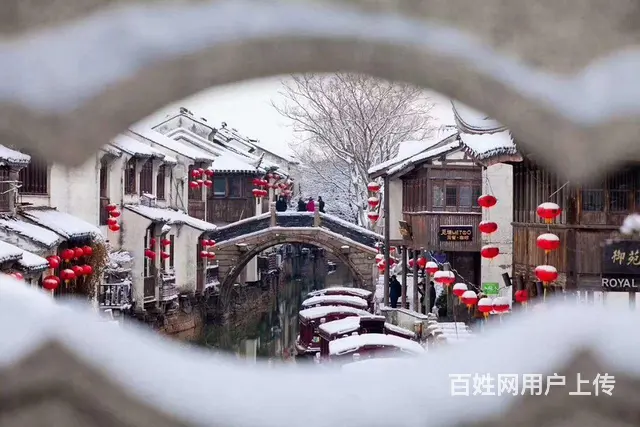 离异找伴侣 - 图片