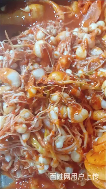 新华市场吉峰辣白菜急兑 - 图片 1