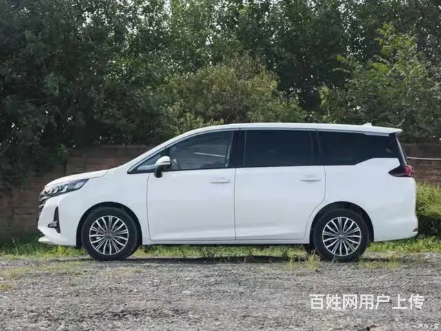 商务车带司机出租 - 图片 1