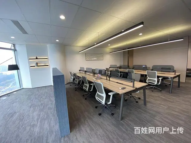 宝龙城商业体上盖，地铁口，地标建筑可定制，豪华装修，全面招商 - 图片 3
