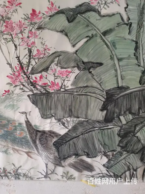 六尺纸花鸟画手绘，孔雀 - 图片 4