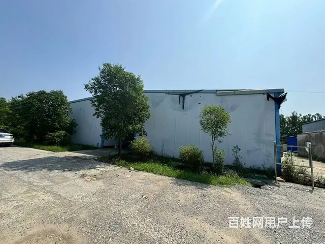 （城市在线找房免费）邳州邢楼厂房（土地）出租 或转让 - 图片 6