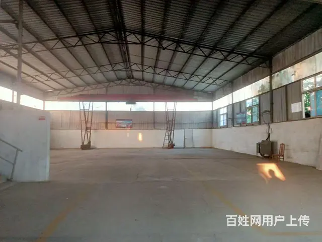 孟女士 - 图片 3