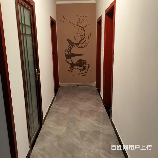 新房新装修未住三室两厅两卫出售 - 图片 3