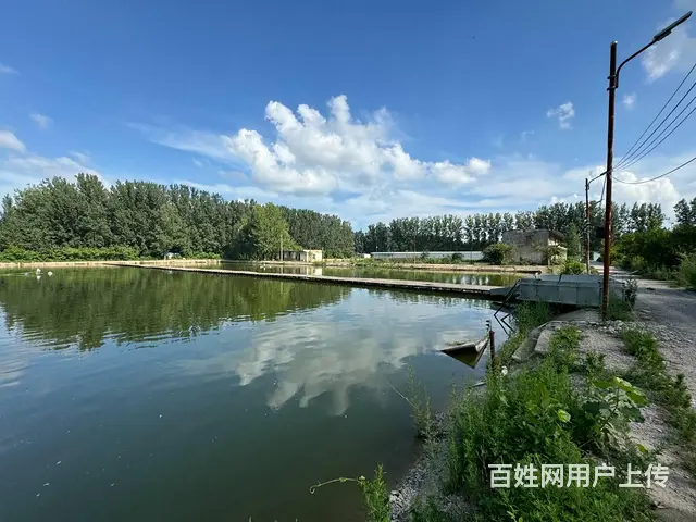 （徐州找店网）东区营业中鱼塘转让 - 图片 6