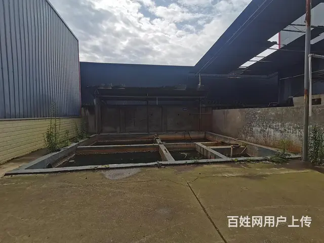 德新镇独门独院标准厂房、场地出租出售（可分租） - 图片 8