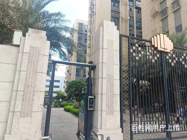 海沧阿罗海附近达达中心 普通住宅2厅 精装修 - 图片 6