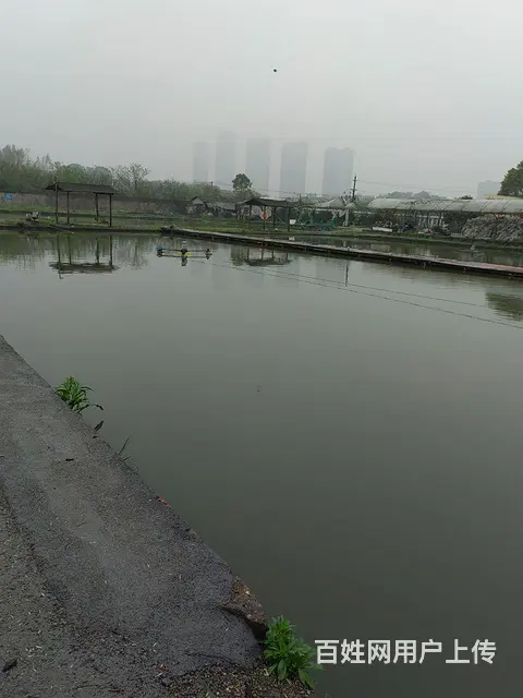 成熟人气钓场转让，有意向的到现场洽谈 - 图片 7
