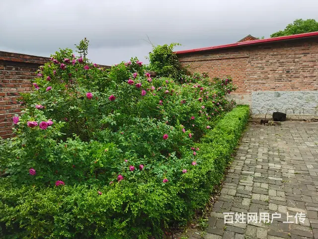 标准四合院 - 图片 5