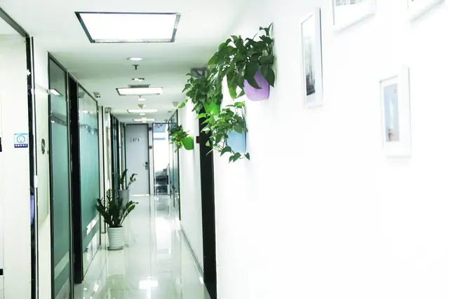 （大促）2人间1000元 地铁口独立办公室直租 工商地址托管 - 图片 9