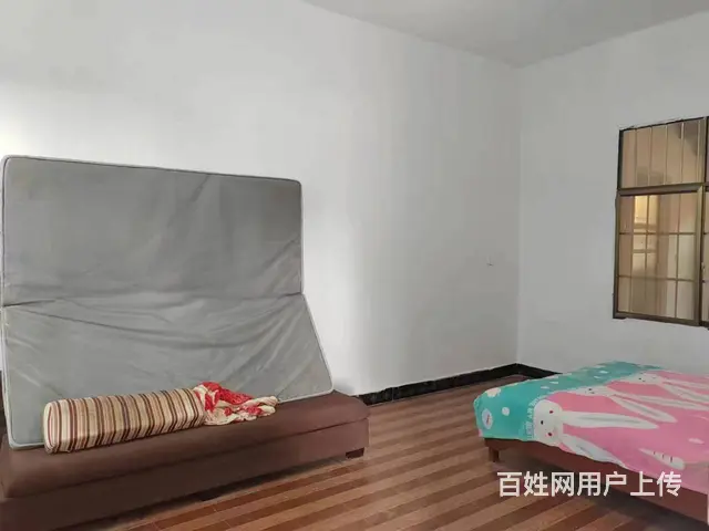 （老板本人）岳麓区长韶娄辅道旁场地+仓库低价出租  6279 - 图片 6