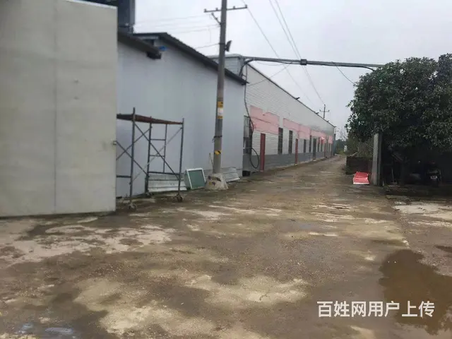 (房东直租）望城雷锋大道620~2200平厂房优价出租 - 图片 2