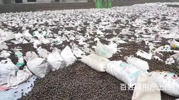 常州 回填垫层陶粒 - 图片 1