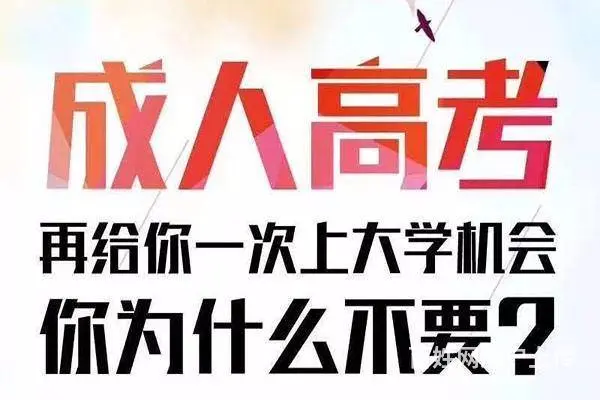 临沂成人高考哪家专业，学历培训 - 图片 6
