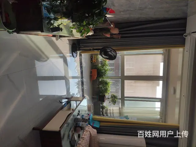鸿都苑 - 图片 6
