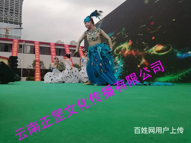 婚礼拍摄、会议直播、摄影摄像、演出录制、网红直播 - 图片 9