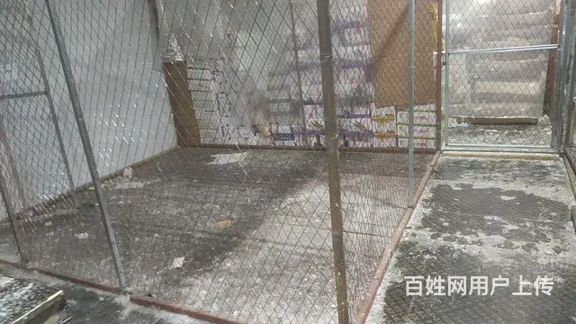 经区长峰黄海路多间冷库出租 分租 - 图片 3