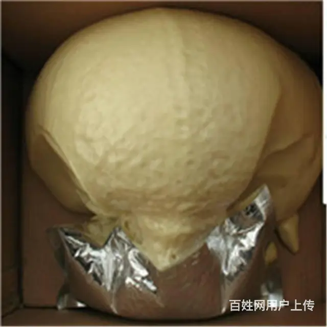 有实力的MLS型袋装马丽散不怕被比较 - 图片
