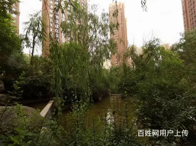 电动工具厂家属院|南川东路55号2室2厅1卫64. - 图片 10