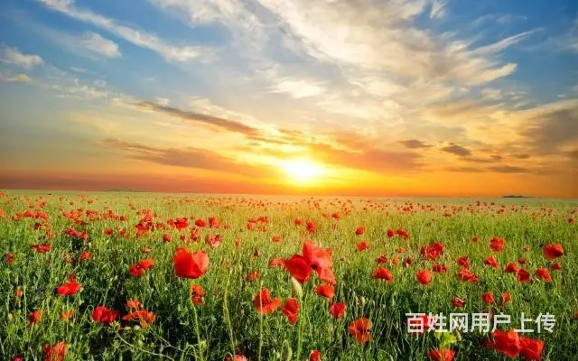 低价出售明基投影机 - 图片 6