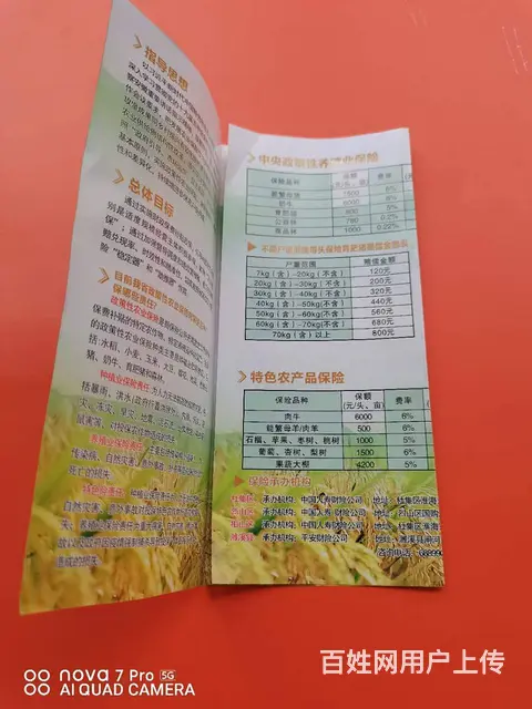 徐州彩印包装厂专业  糊小盒  折小页 - 图片 3