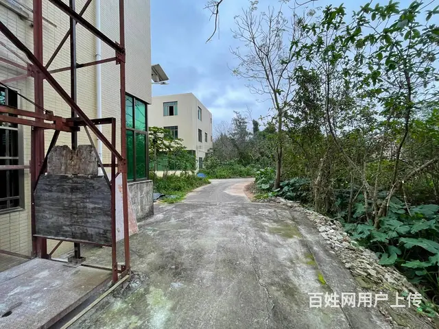 （51旺铺推荐）仓库招租独栋美跃村300平 - 图片 5