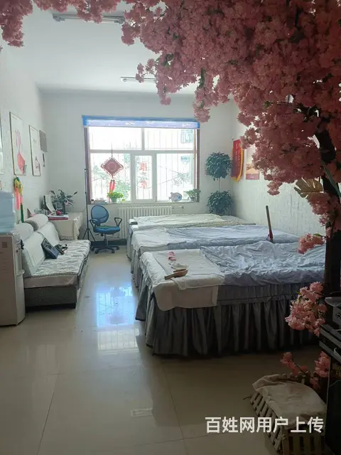 7787（七P）个人城中区奉青花园后门经营中的美容店转让 - 图片 1