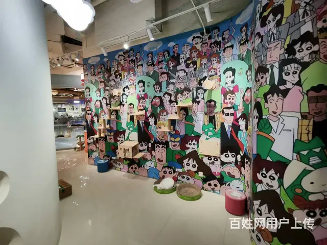 沈北新区吾悦广场宠物店出兑 - 图片 2