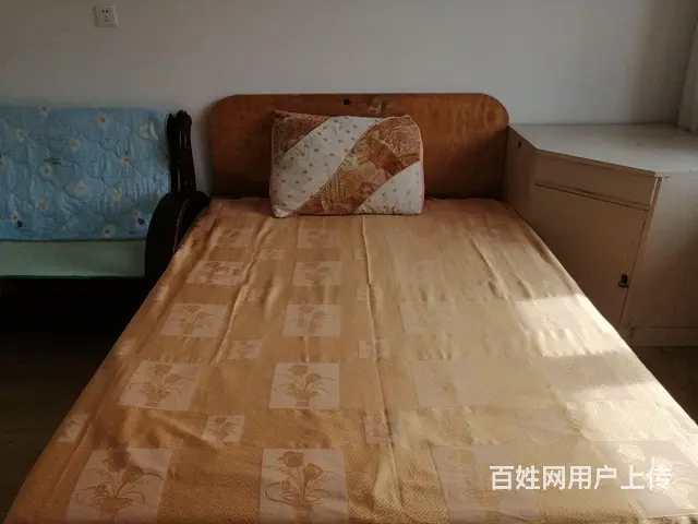房屋出租 - 图片 7