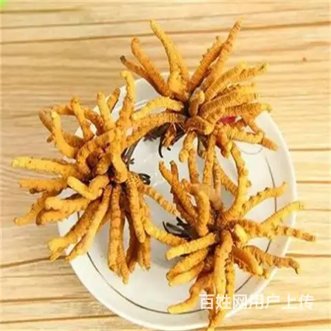 广州回收冬虫夏草-天河区回收散装虫草商家地址 - 图片 2