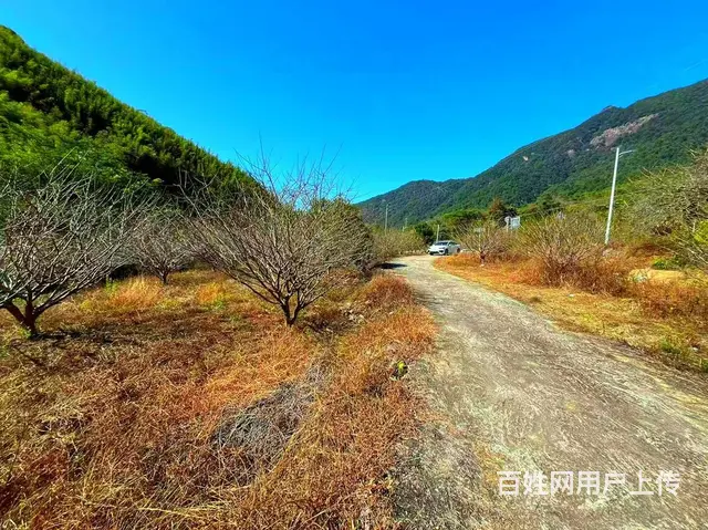 从化区良口镇旅游区溪水边3亩亩山地果园整体转让 - 图片 2