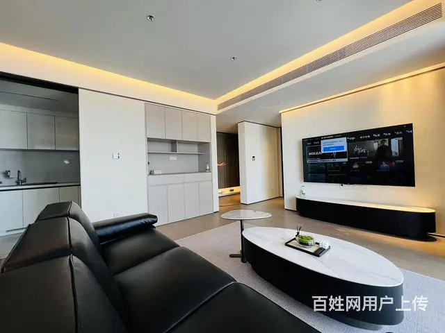 武昌滨江观江豪宅 长江中心3房2卫 邻近万象城绿地 - 图片 4