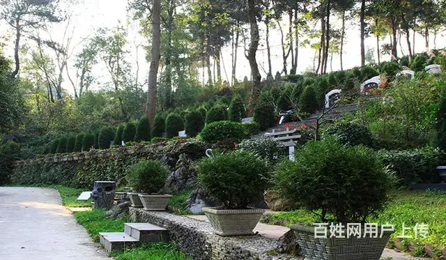 乌鲁木齐米泉市北郊公墓,墓地优惠销售,双人墓单人墓 - 图片 1