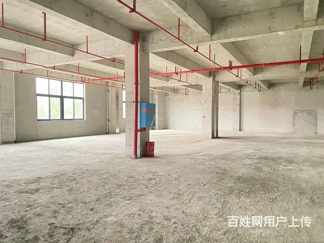 （房东直租）中青路佳海园区460一1500平厂房，可分租 - 图片 8