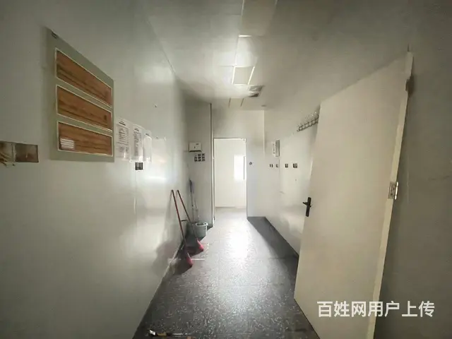 XN 武侯区一环路 全业态商铺房东直租 - 图片 4