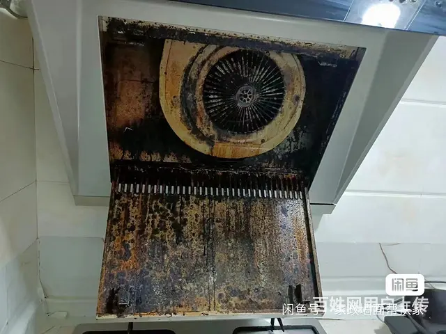 本地服务 专业清洗油烟机 洗衣机 空调等，家政清洁 - 图片 5
