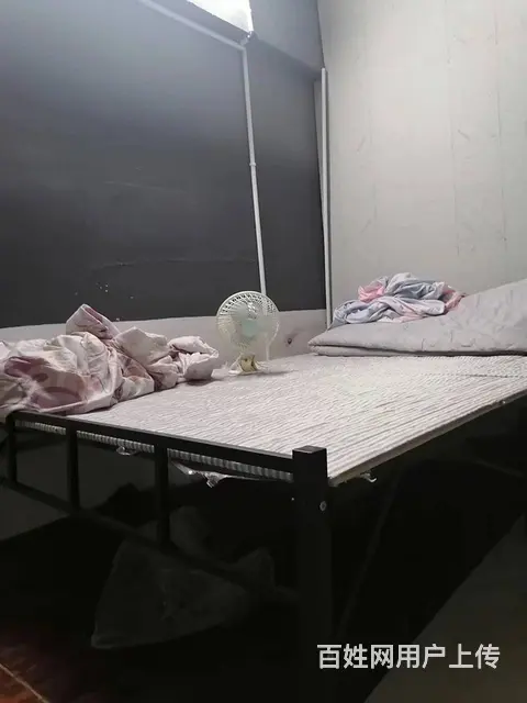 个人转让梅溪湖小区出入口菜鸟驿站优价转让编号3073 - 图片 4