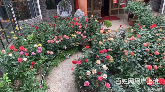 7547(七P）个人城东区互助路小商品附近特色酒店转让 - 图片 3