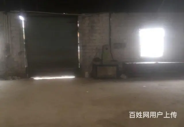 D9 I3I IO96 I559洪濑镇扬美村仓库出租 - 图片 2