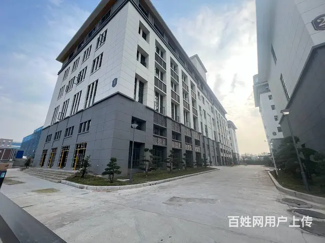 自有全新园区招租 单层独栋 多面积段 业态不限 欢迎咨询看房 - 图片 6
