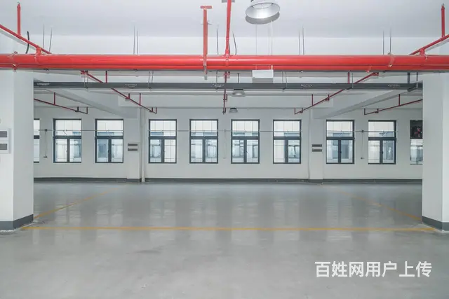 开福区沙坪长青路大明工业园旁3000平园区厂房出租，可分租 - 图片 4
