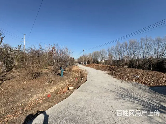（徐州找店网）金山桥农场土地转让 - 图片 7