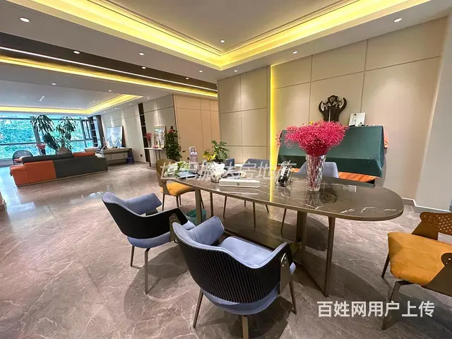 直降200万上新观复国际大平墅豪装现代简约风，带花园仅920 - 图片 12