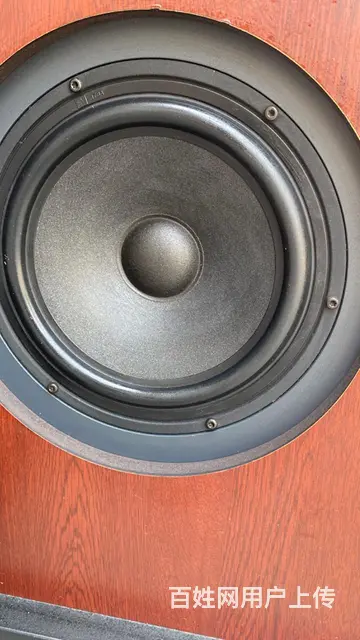 转让一对丹麦雅锐发烧音箱，低音在侧面，配套马来西亚 - 图片 4