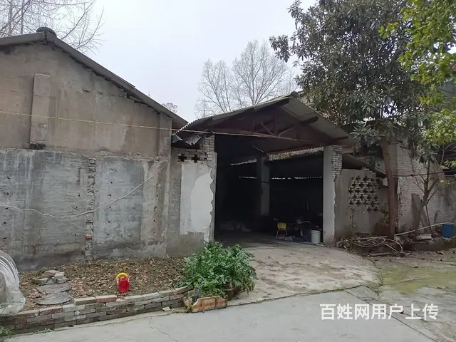 XSY温江进出方便库房出租不限业态 - 图片 7