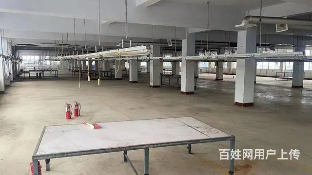 (58今铺)郯城1700平框架厂房 及1000平仓库出租 - 图片 2