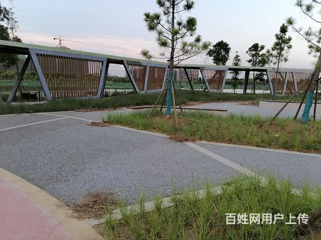 价格美丽 - 图片 2